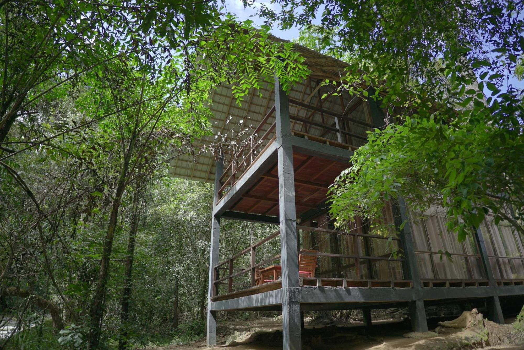 Ella Jungle Resort Exteriér fotografie