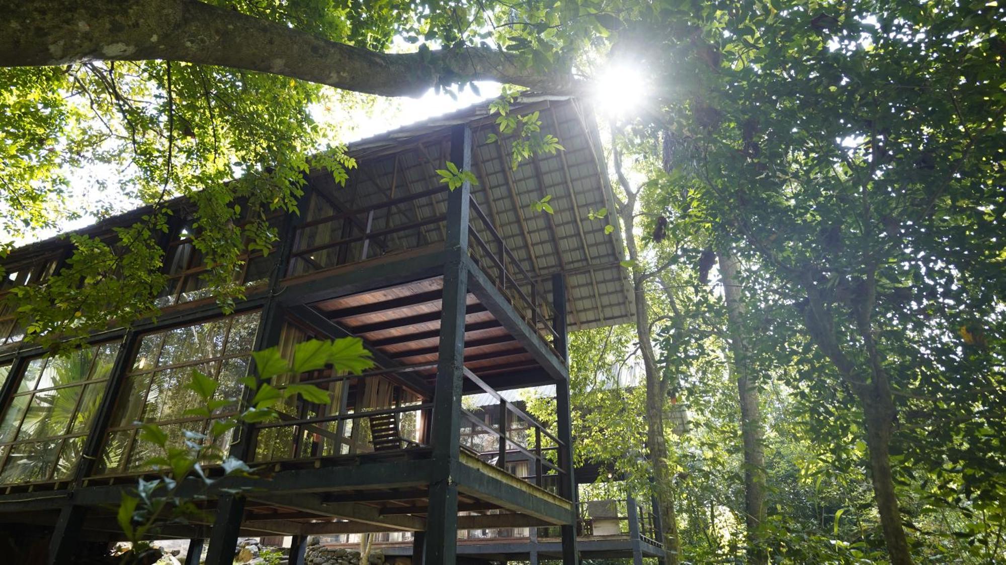 Ella Jungle Resort Exteriér fotografie