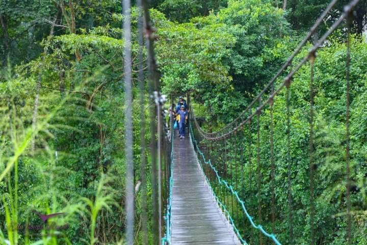 Ella Jungle Resort Exteriér fotografie