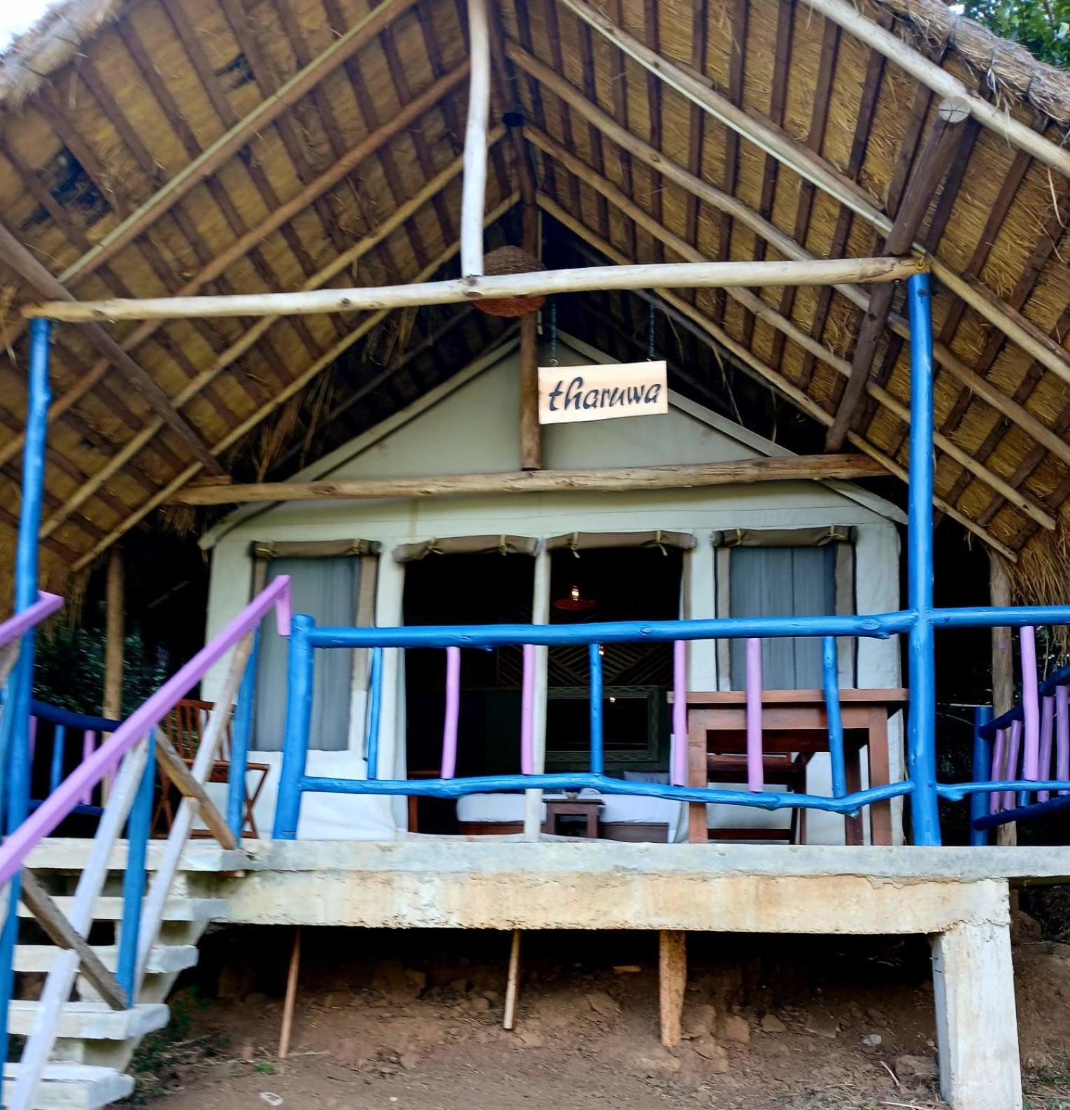 Ella Jungle Resort Pokoj fotografie