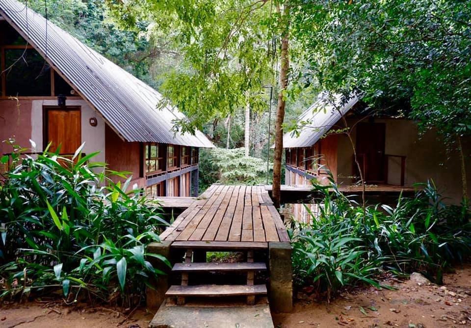 Ella Jungle Resort Pokoj fotografie
