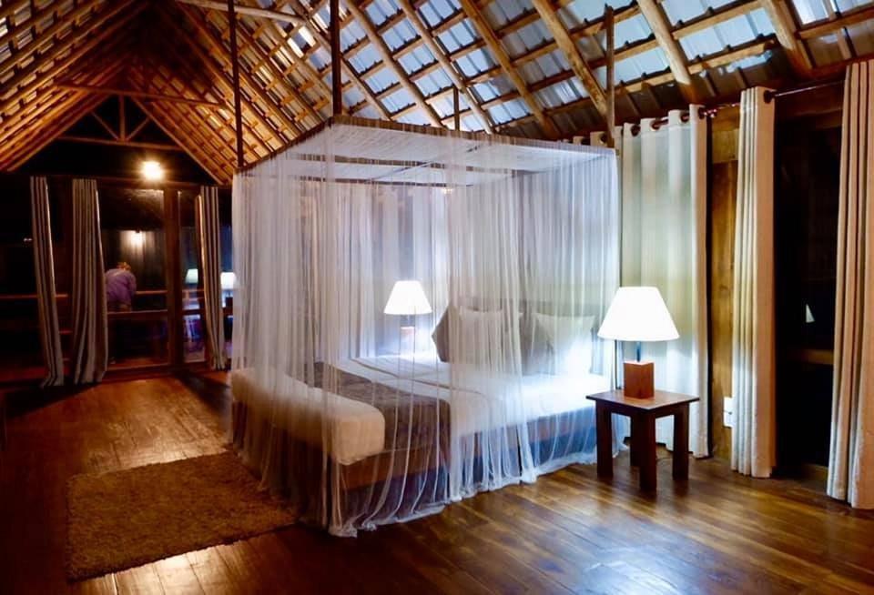 Ella Jungle Resort Pokoj fotografie