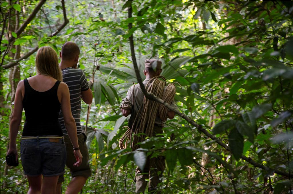 Ella Jungle Resort Exteriér fotografie