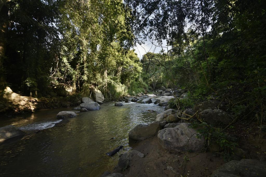 Ella Jungle Resort Exteriér fotografie