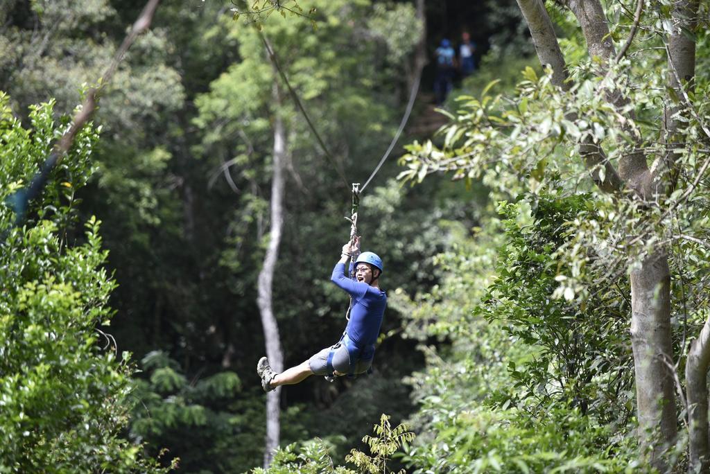 Ella Jungle Resort Exteriér fotografie